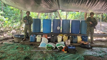 Armada de Colombia destruyó 35 laboratorios de cocaína en Cauca y Nariño, este fue el golpe a las finanzas criminales