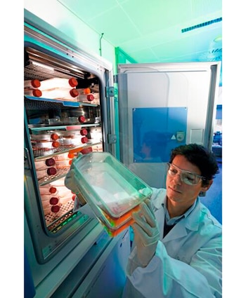 Este tratamiento es muy específico