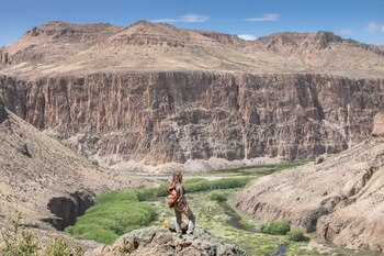 Fundacion Rewilding Argentina
