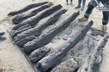 Tesoro arqueológico en la arena