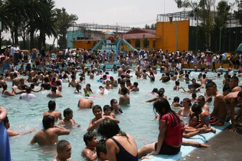 Estas son las patologías que