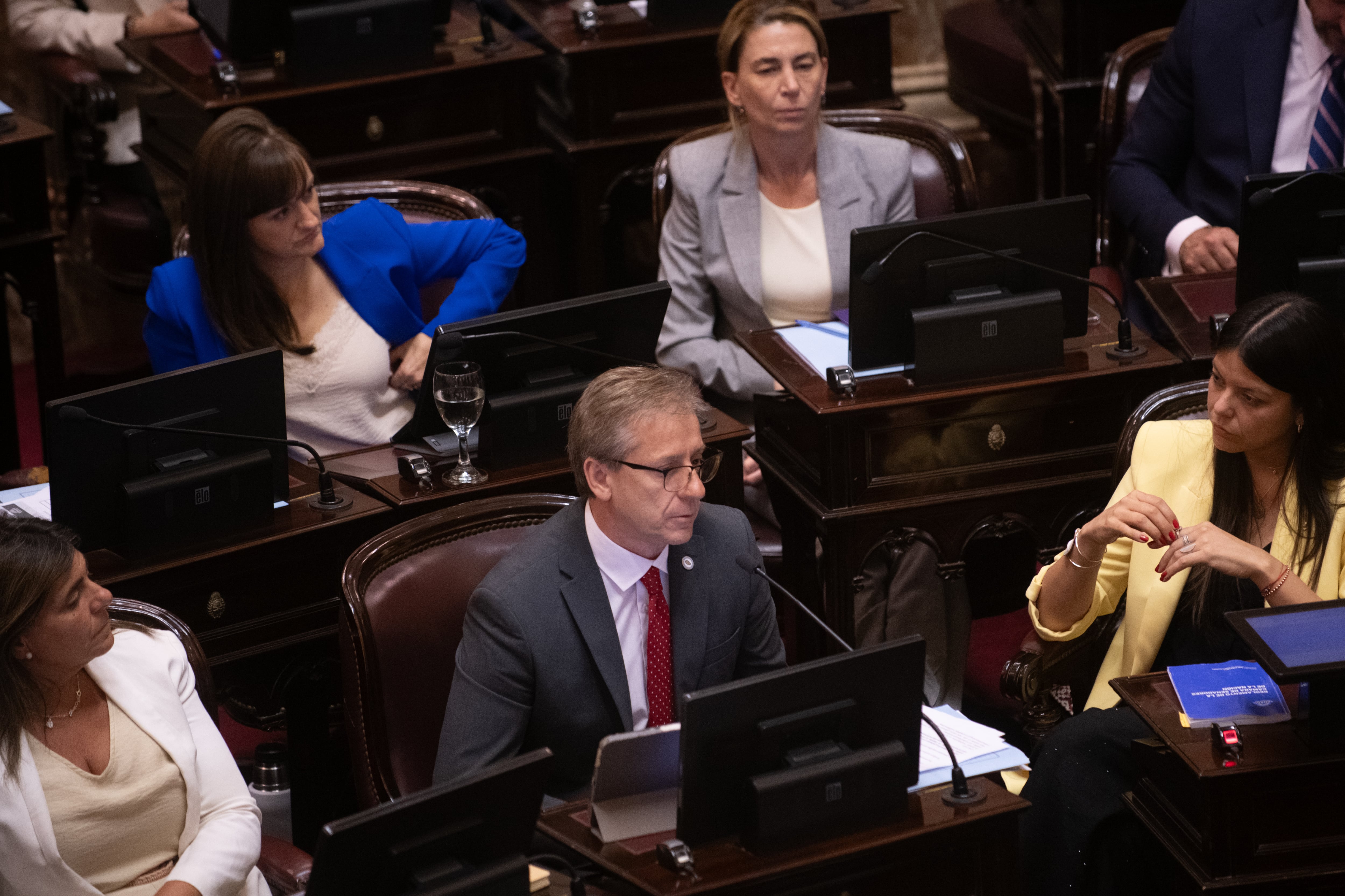 El presidente de la Unión Cívica Radical en la Cámara alta, el correntino Eduardo Vischi