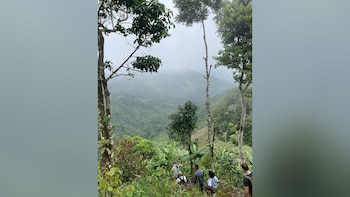 Grupo de personas camina por un sendero empinado en un bosque montañoso de densa vegetación, con cimas nubladas de montañas al fondo