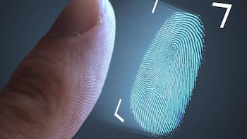 ¿Tu empresa sobreviviría a un ciberataque? El 23% en Perú nunca probó su plan de recuperación