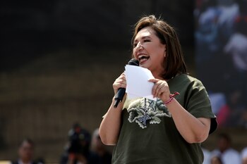 Las declaraciones de la candidata