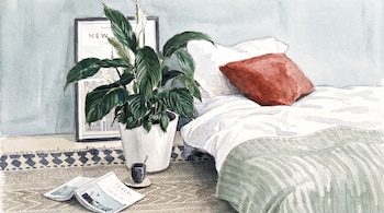 Cama con sábanas blancas y almohadones, planta en maceta blanca, cuadro con edificios, revista, taza en platillo y tapete con patrones en una habitación.