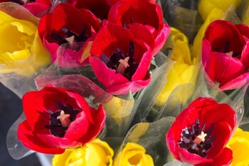 Las flores son de los