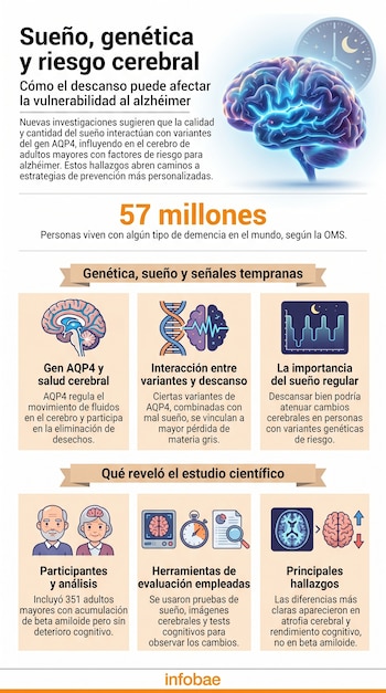 Infografía sobre sueño, genética y riesgo cerebral; muestra cerebro con luz, reloj, cifra de 57 millones, iconos de ADN, cerebro, gráfico, personas y herramientas.