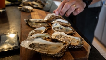 Hong Kong suspende la importación