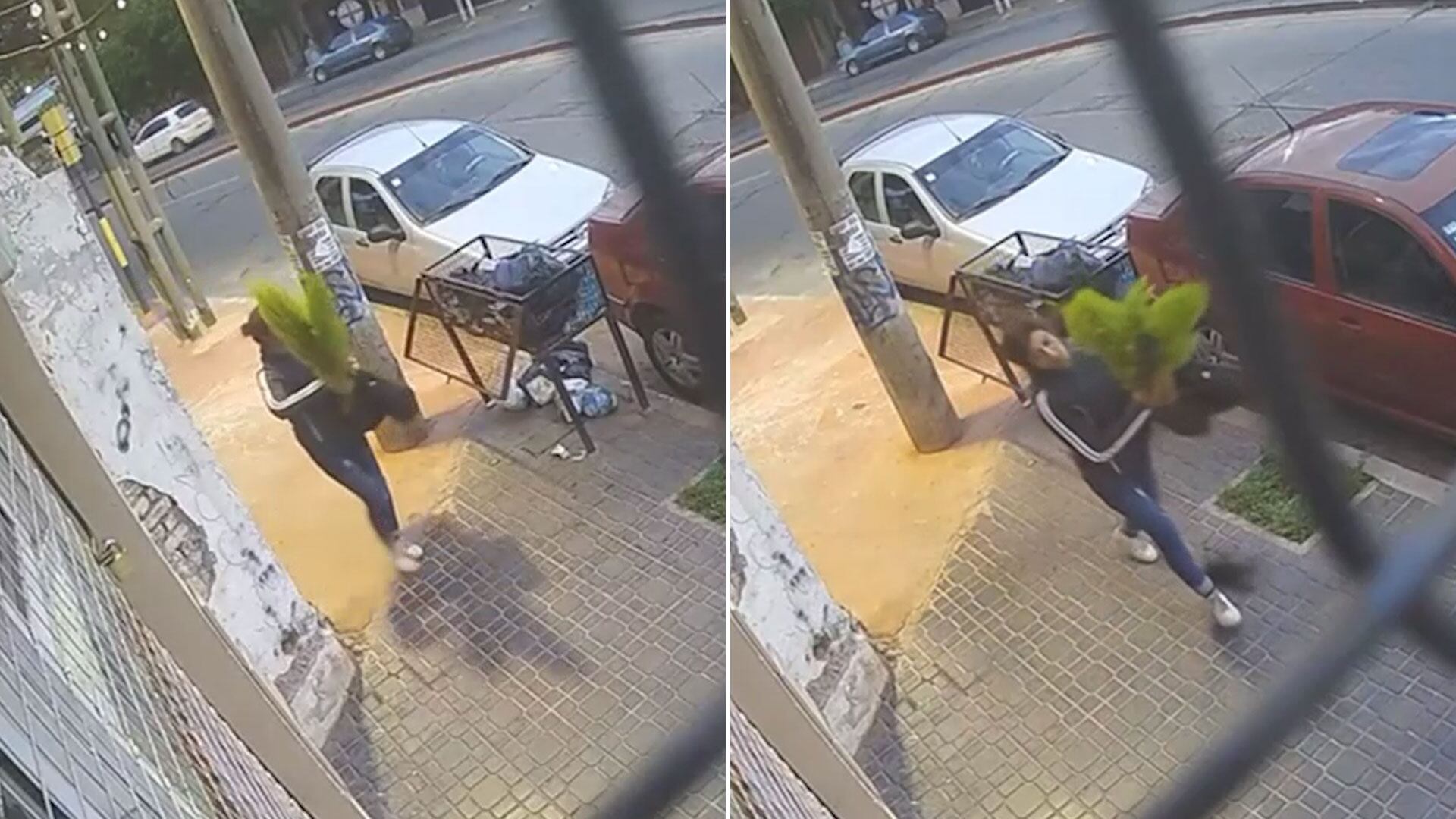 Las imágenes muestran cómo una mujer retira un pino decorativo en plena madrugada