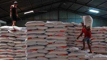Productores panameños de arroz rechazan importación de 1.8 millones de quintales del grano