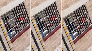 El gatito fue golpeado varias