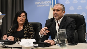 Los presidentes de las comisiones de Presupuesto y Legislación Penal, Bertie Benegas Lynch y Laura Rodríguez Machado