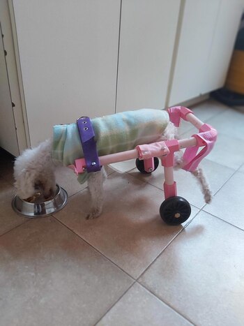 Mariana fabricó con su impresora