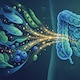 Cómo dos nutrientes comunes pueden activar las defensas naturales ante el cáncer de colon