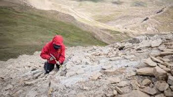 El hallazgo permitirá comprender mejor