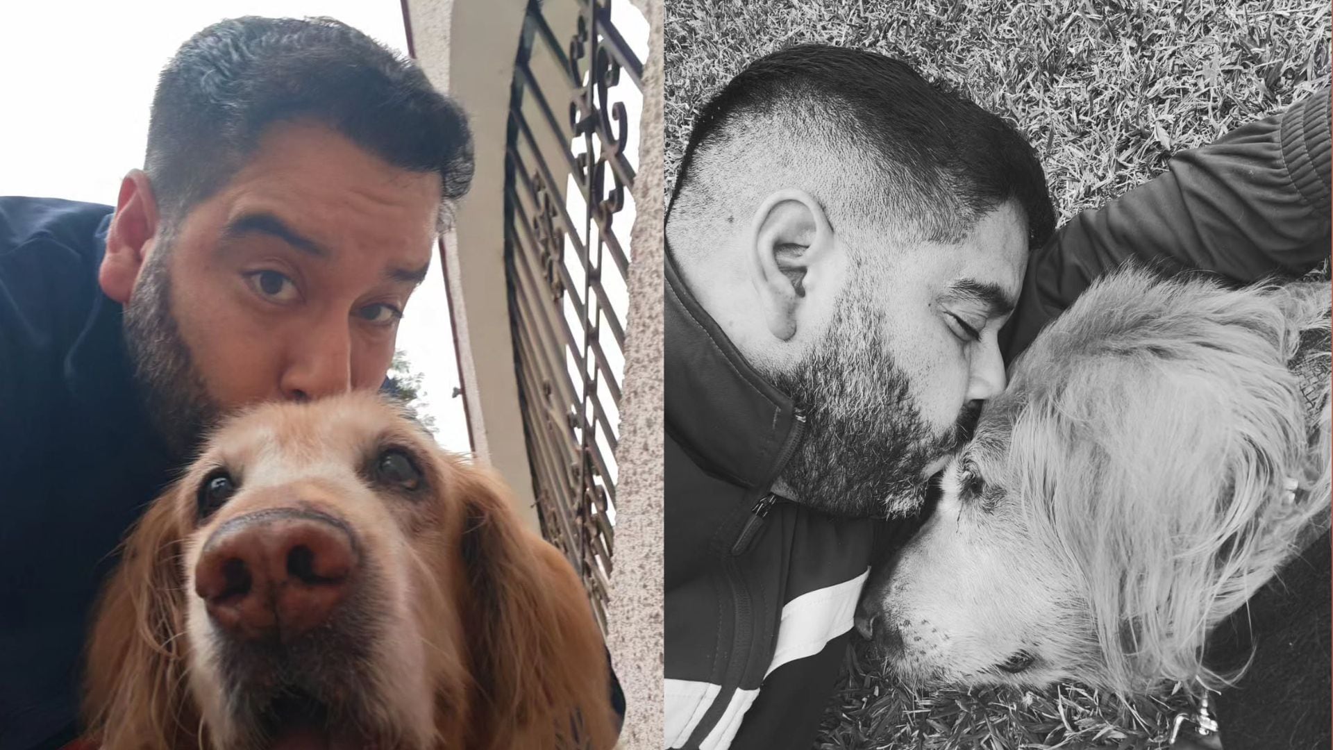Junior Silva anunció la muerte de Bronco, su perro y compañero durante 14 años, ocho meses y 19 días