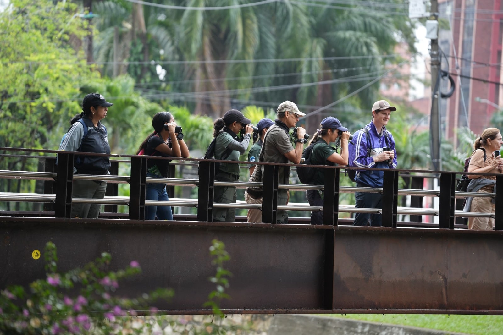 El resurgimiento de la violencia y la presencia de grupos armados amenaza las rutas seguras de avistamiento de aves en Colombia - crédito Colombia Birdfair