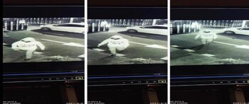 Captura de cámara de María