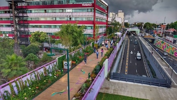 Gobierno CDMX reconstruirá skatepark que demolió por obras de la Calzada Flotante Tlallipan