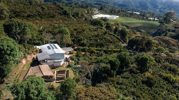 El café procede de Luito Estate, una finca ubicada a 1,930 metros de altitud en las montañas de Boquete. Cortesía