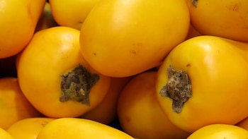 La cocona, originaria de la