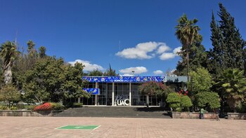 Beca Madres Solas-Padres Solos: cómo