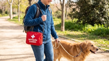 Una persona con mochila y chaqueta azul pasea un perro golden retriever con correa, cargando un botiquín canino rojo con cruz blanca en un parque.