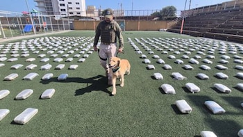 La policía chilena ha incautado más de 45 toneladas de drogas en lo que va del año