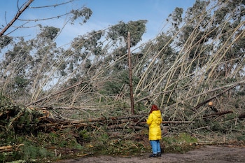 Efectos del paso de la