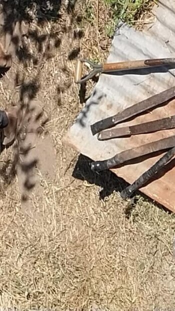 Algunos elementos secuestrados en el