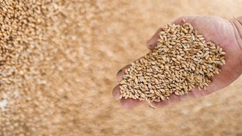 Récord de exportaciones en 2022