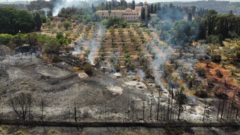 El incendio a las afueras