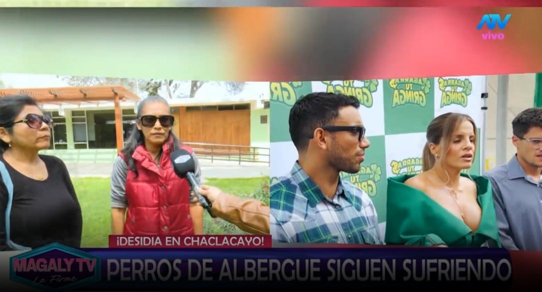 Animalistas responde a Alejandra Baigorria por denuncia contra albergue: “Ninguna de nosotras va a postular”. Captura: Magaly TV La Firme.
