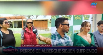 Animalistas responde a Alejandra Baigorria por denuncia contra albergue: “Ninguna de nosotras va a postular”. Captura: Magaly TV La Firme.