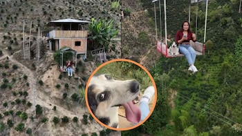 La asombrosa travesía de un