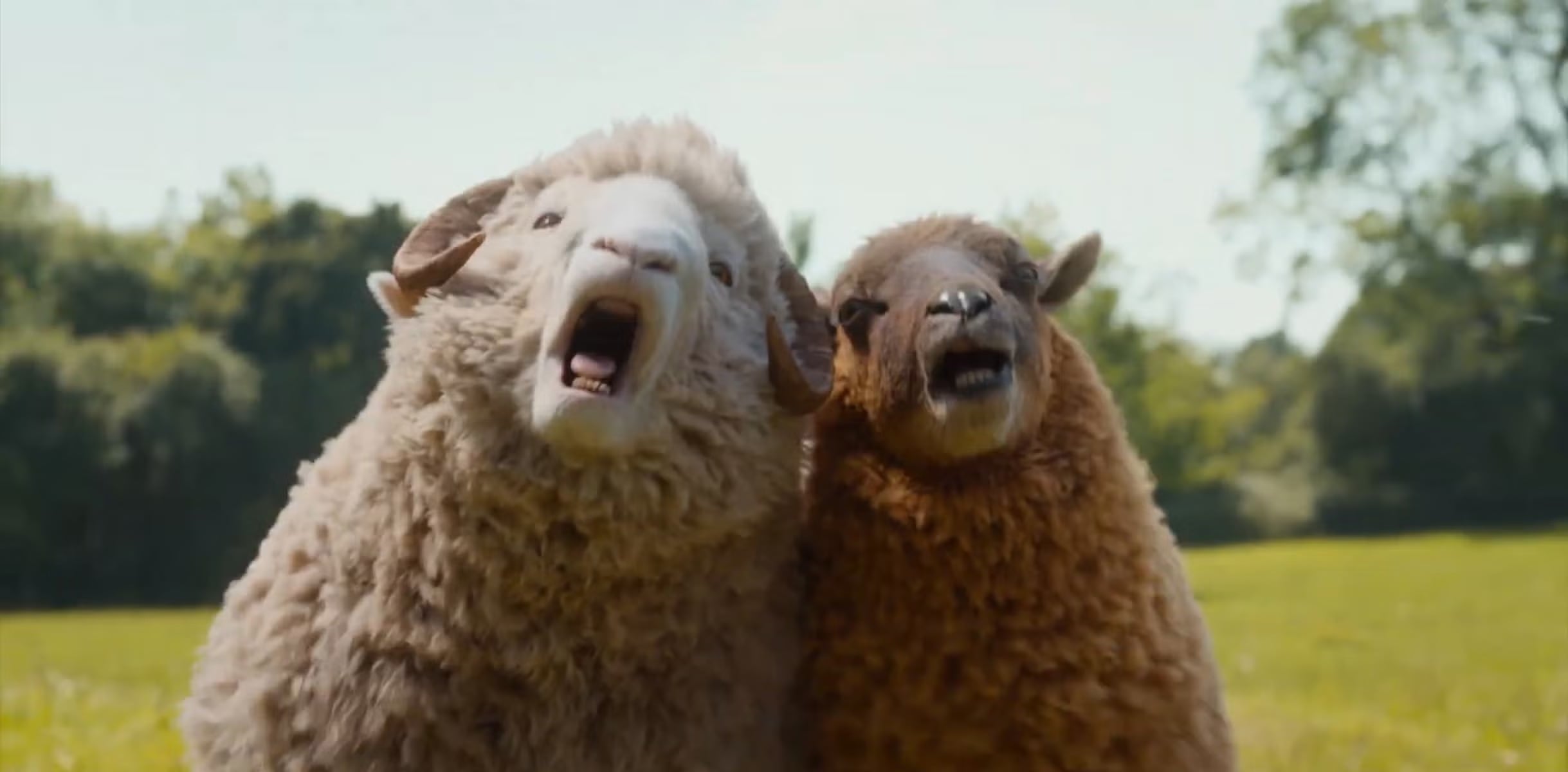 Las ovejas, lideradas por Lily, utilizan su ingenio para descifrar pistas y enfrentar a sospechosos humanos. (Créditos: Sony Pictures)