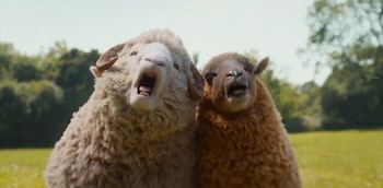 Las ovejas detectives (2026), película familiar con Hugh Jackman (Créditos: Sony Pictures)