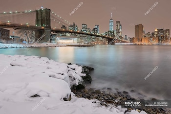 El puente de Brooklyn y