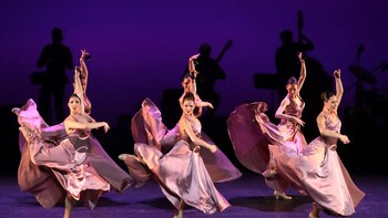 Hoy celebramos el Día Internacional