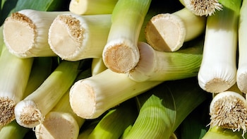 ¿Cuáles son las propiedades curativas