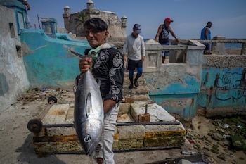 Un hombre muestra la pesca