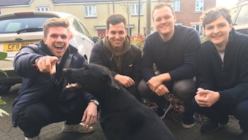 Cuatro compañeros de piso envían una carta a su vecina para poder pasear a su perro: “La vida adulta es una lucha sin uno”