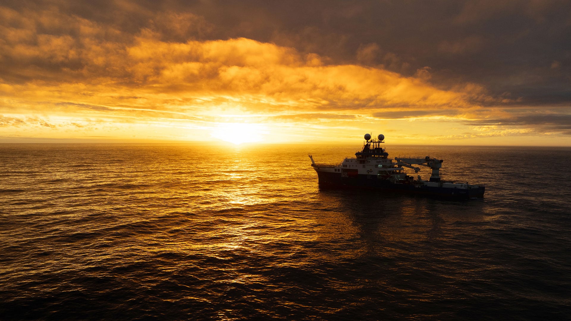 La expedición Vida en los extremos recorrió el margen continental argentino con el ROV SuBastian, que grabó 17 inmersiones entre 450 y casi 4.000 metros de profundidad./ Misha Vallejo Prut / Schmidt Ocean Institute