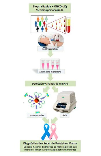 El esquema del funcionamiento del