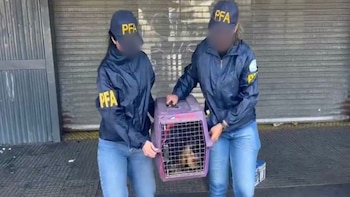 La Policía Federal rescató a