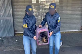 La detenida, una ciudadana paraguaya