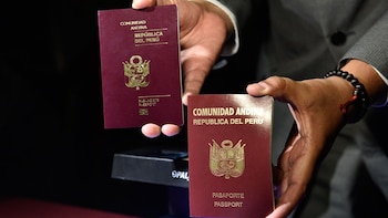 Los ciudadanos peruanos que planean