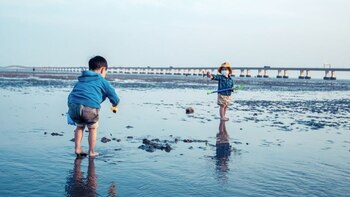 Las fechas están establecidas en