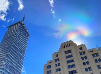 (Captura Tik Tok @joelee.mx)